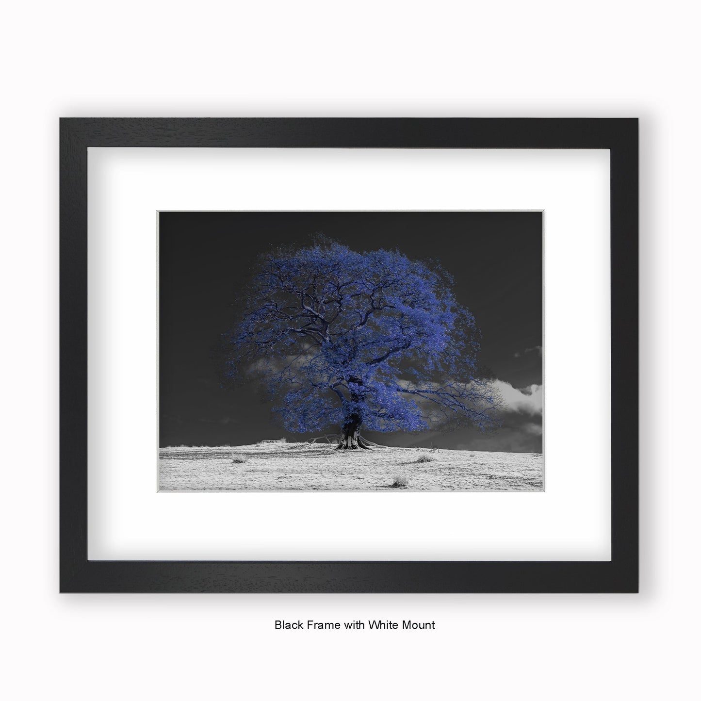 Blue Tree b/w Background - Mounted & Framed Art Print