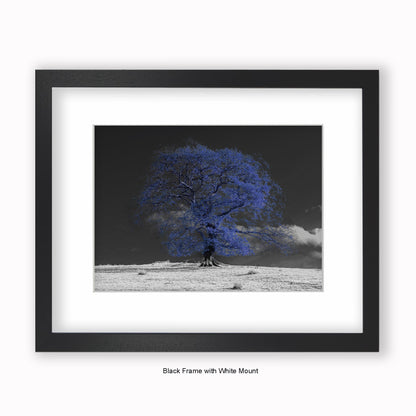 Blue Tree b/w Background - Mounted & Framed Art Print