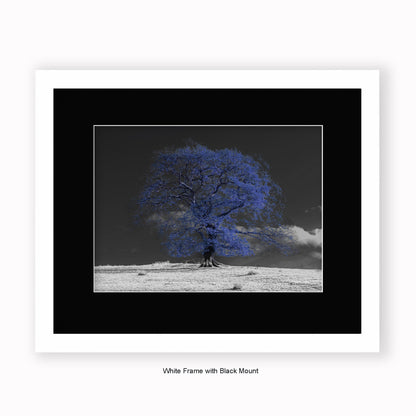 Blue Tree b/w Background - Mounted & Framed Art Print