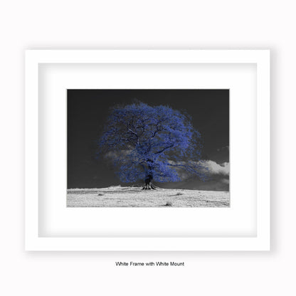 Blue Tree b/w Background - Mounted & Framed Art Print
