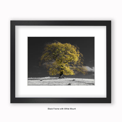 Natural Tree b/w background - Mounted & Framed Art Print