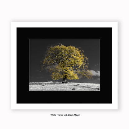 Natural Tree b/w background - Mounted & Framed Art Print