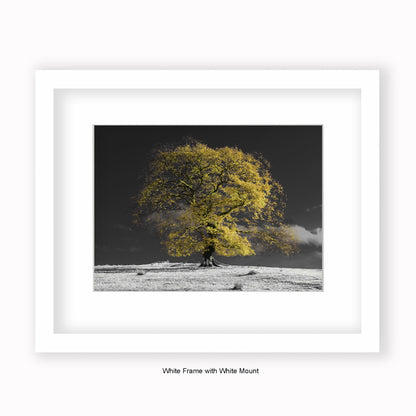 Natural Tree b/w background - Mounted & Framed Art Print