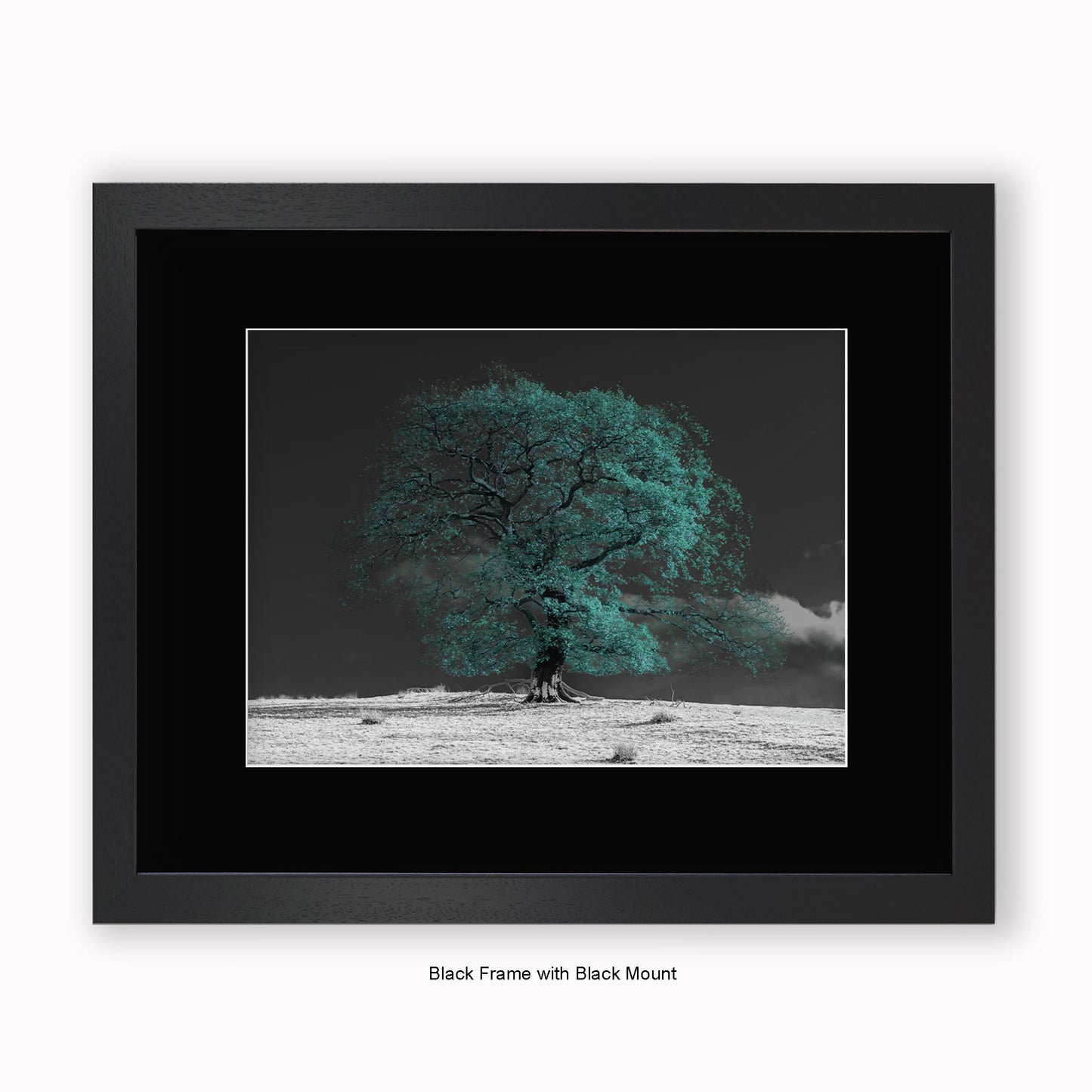 Green Tree b/w Background - Mounted & Framed Art Print