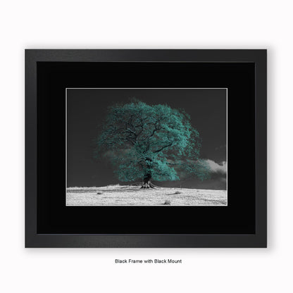 Green Tree b/w Background - Mounted & Framed Art Print