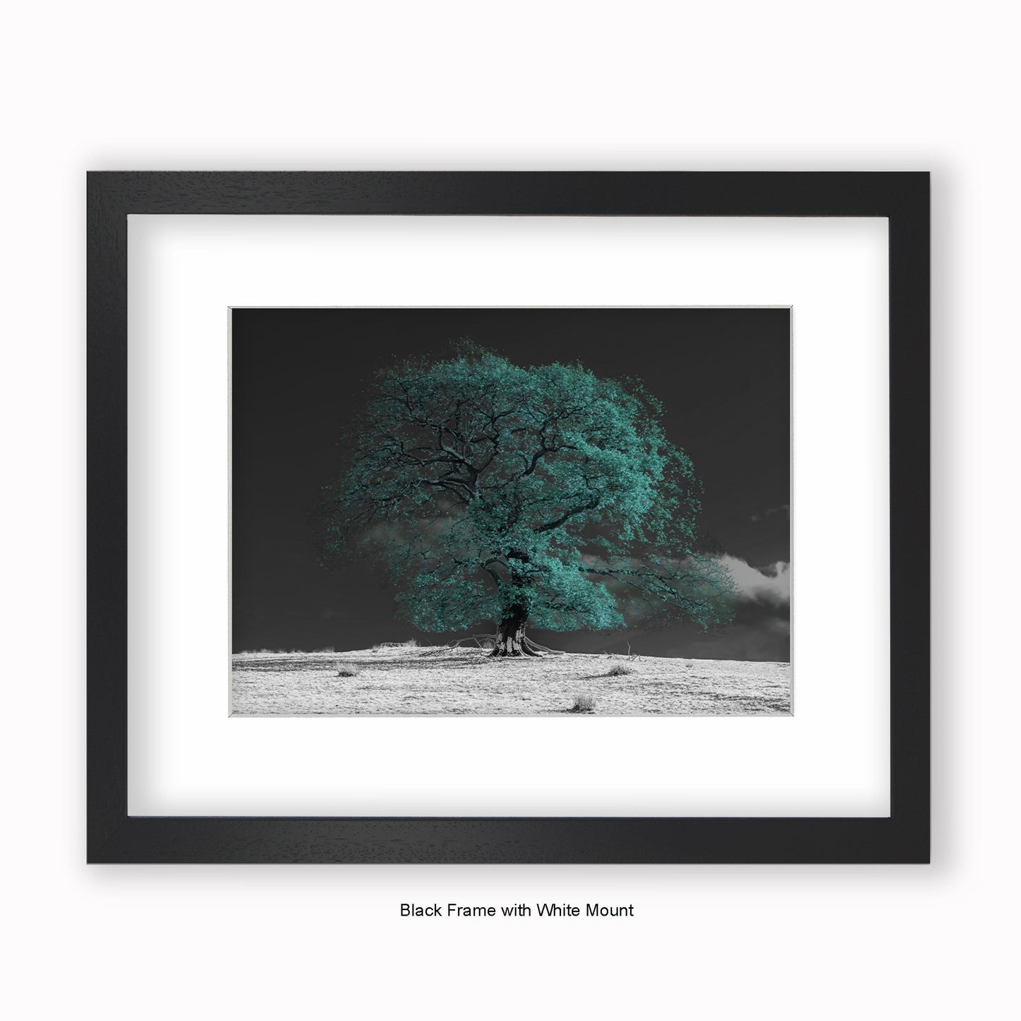 Green Tree b/w Background - Mounted & Framed Art Print