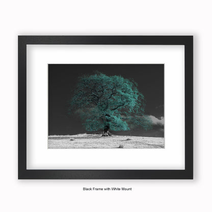 Green Tree b/w Background - Mounted & Framed Art Print