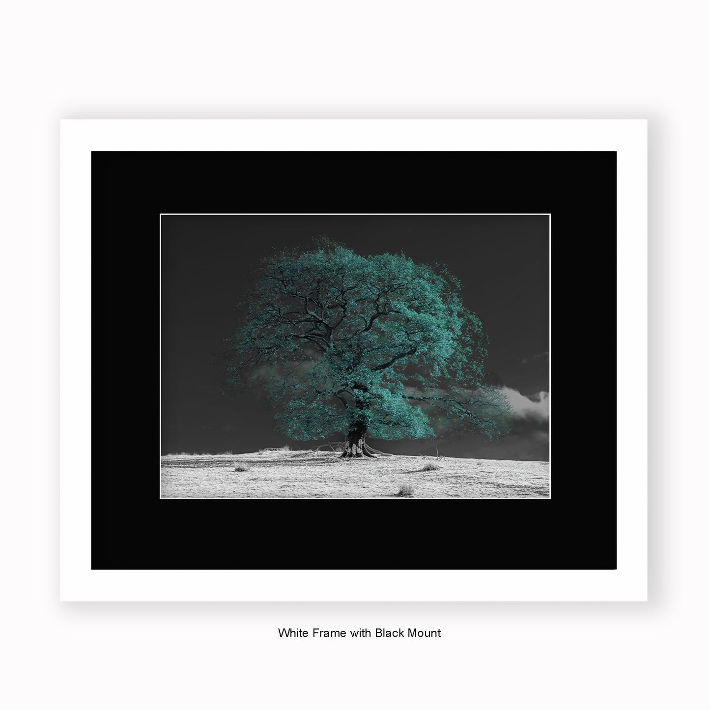 Green Tree b/w Background - Mounted & Framed Art Print