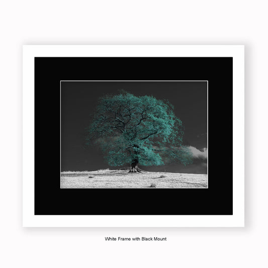 Green Tree b/w Background - Mounted & Framed Art Print
