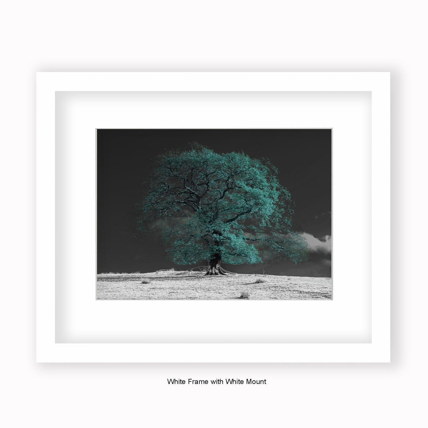 Green Tree b/w Background - Mounted & Framed Art Print