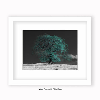 Green Tree b/w Background - Mounted & Framed Art Print