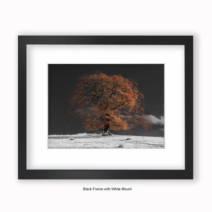 Bronze Tree b/w Background - Mounted & Framed Art Print