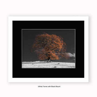 Bronze Tree b/w Background - Mounted & Framed Art Print