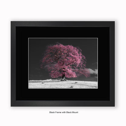 Pink Tree b/w Background - Mounted & Framed Art Print