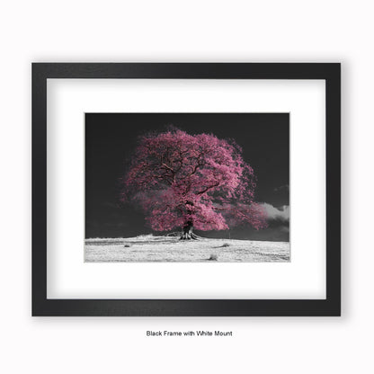 Pink Tree b/w Background - Mounted & Framed Art Print