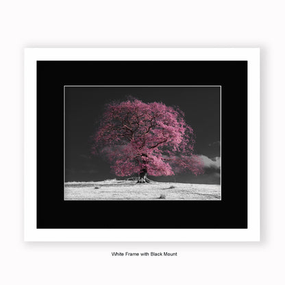 Pink Tree b/w Background - Mounted & Framed Art Print