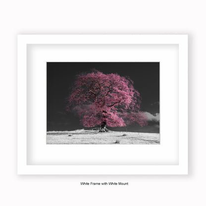 Pink Tree b/w Background - Mounted & Framed Art Print