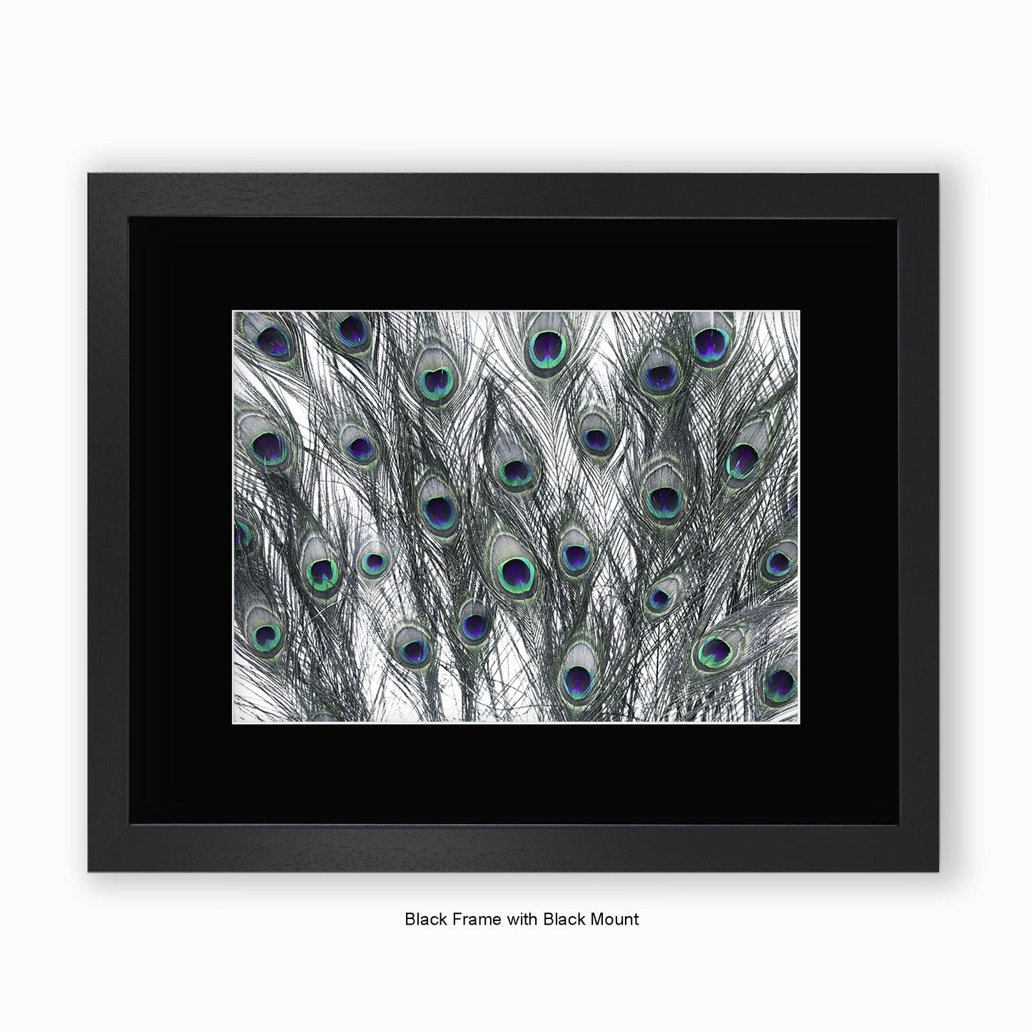 Peacock Feathers White - Mounted & Framed Art Print