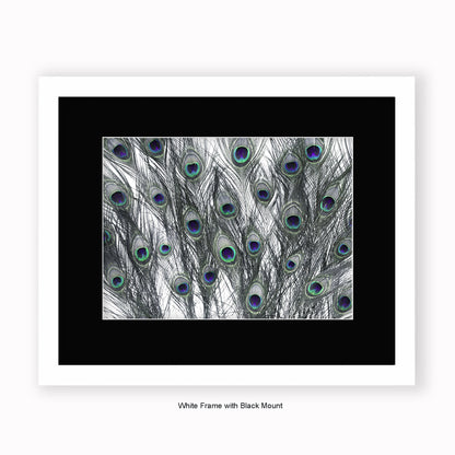 Peacock Feathers White - Mounted & Framed Art Print