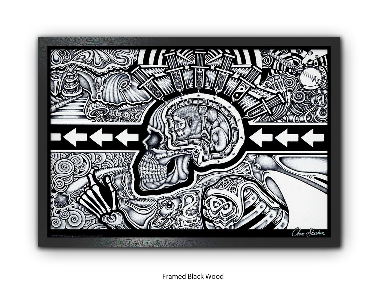 The Conscious Existence by artist Chris Sheehan - Poster