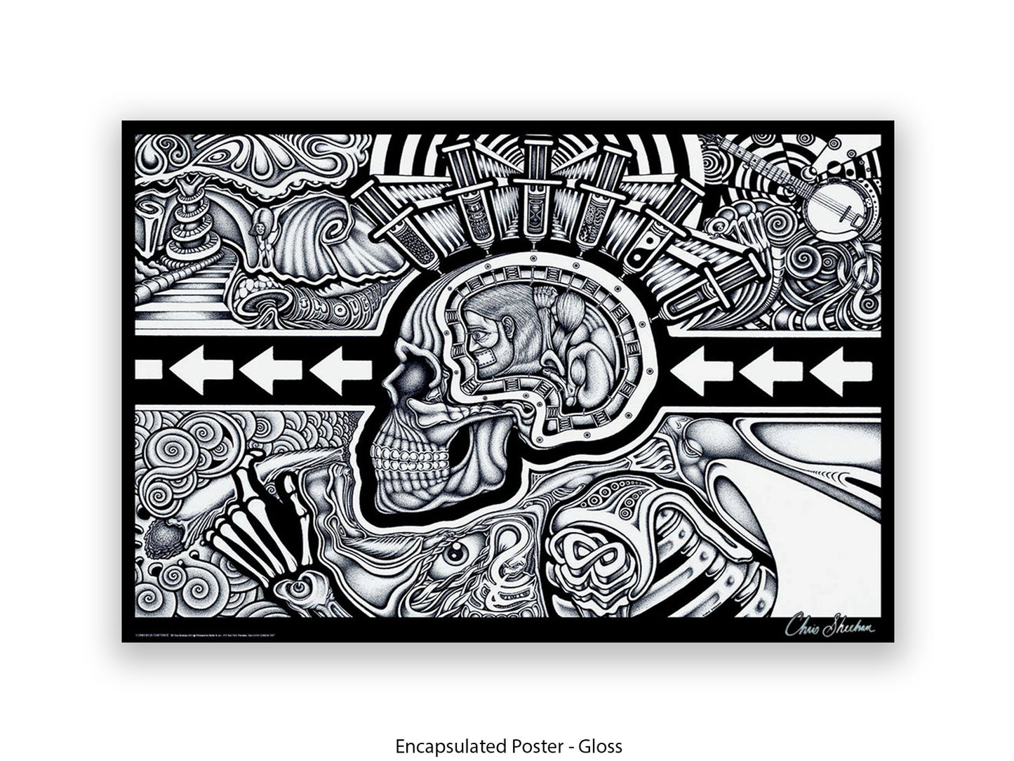 The Conscious Existence by artist Chris Sheehan - Poster