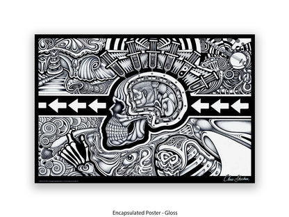 The Conscious Existence by artist Chris Sheehan - Poster