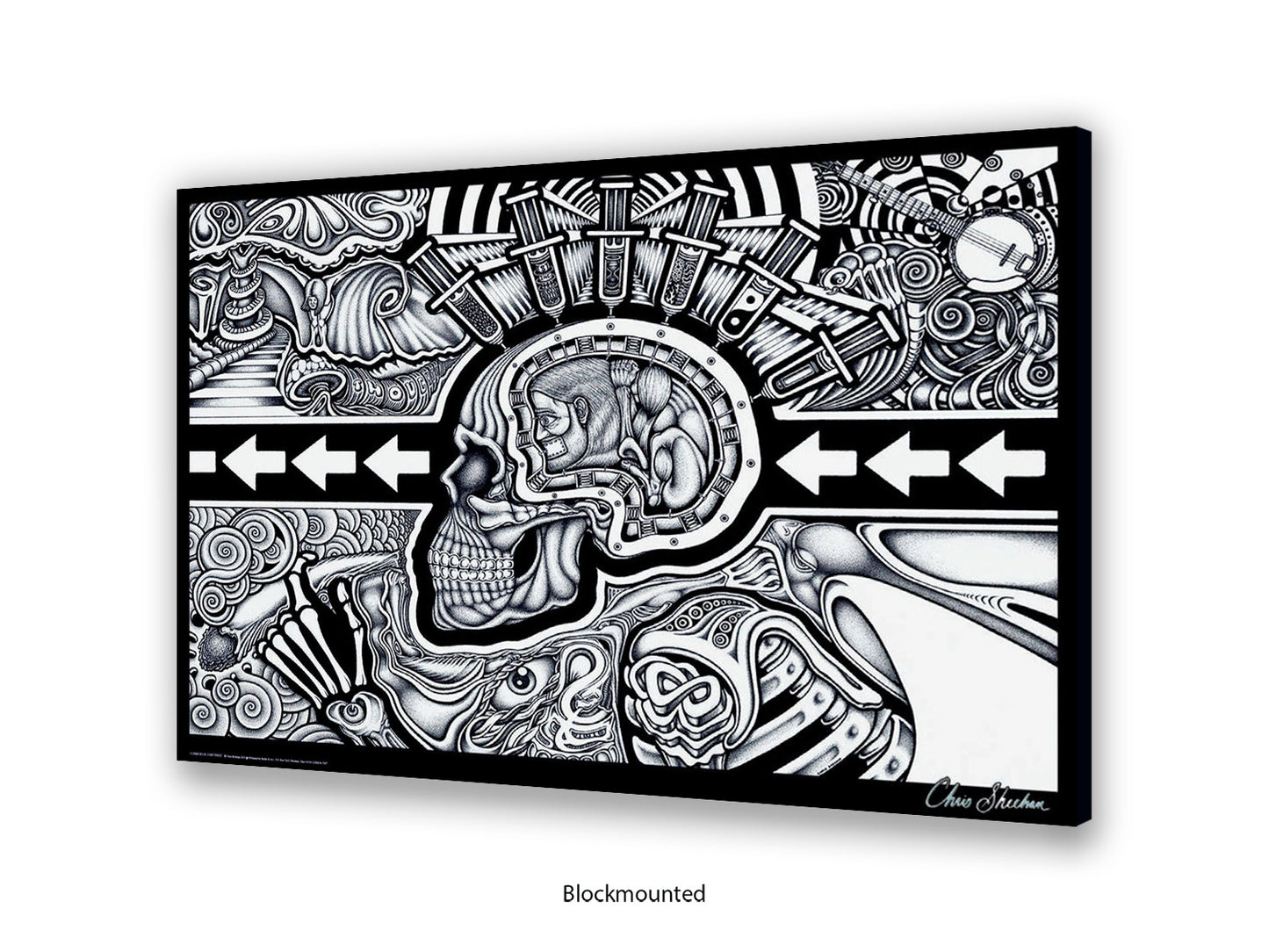 The Conscious Existence by artist Chris Sheehan - Poster