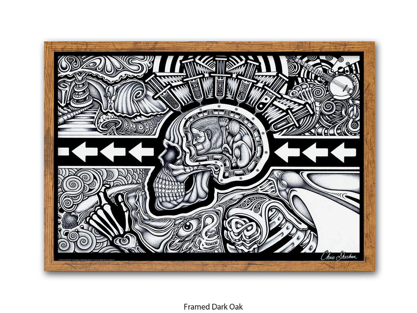 The Conscious Existence by artist Chris Sheehan - Poster