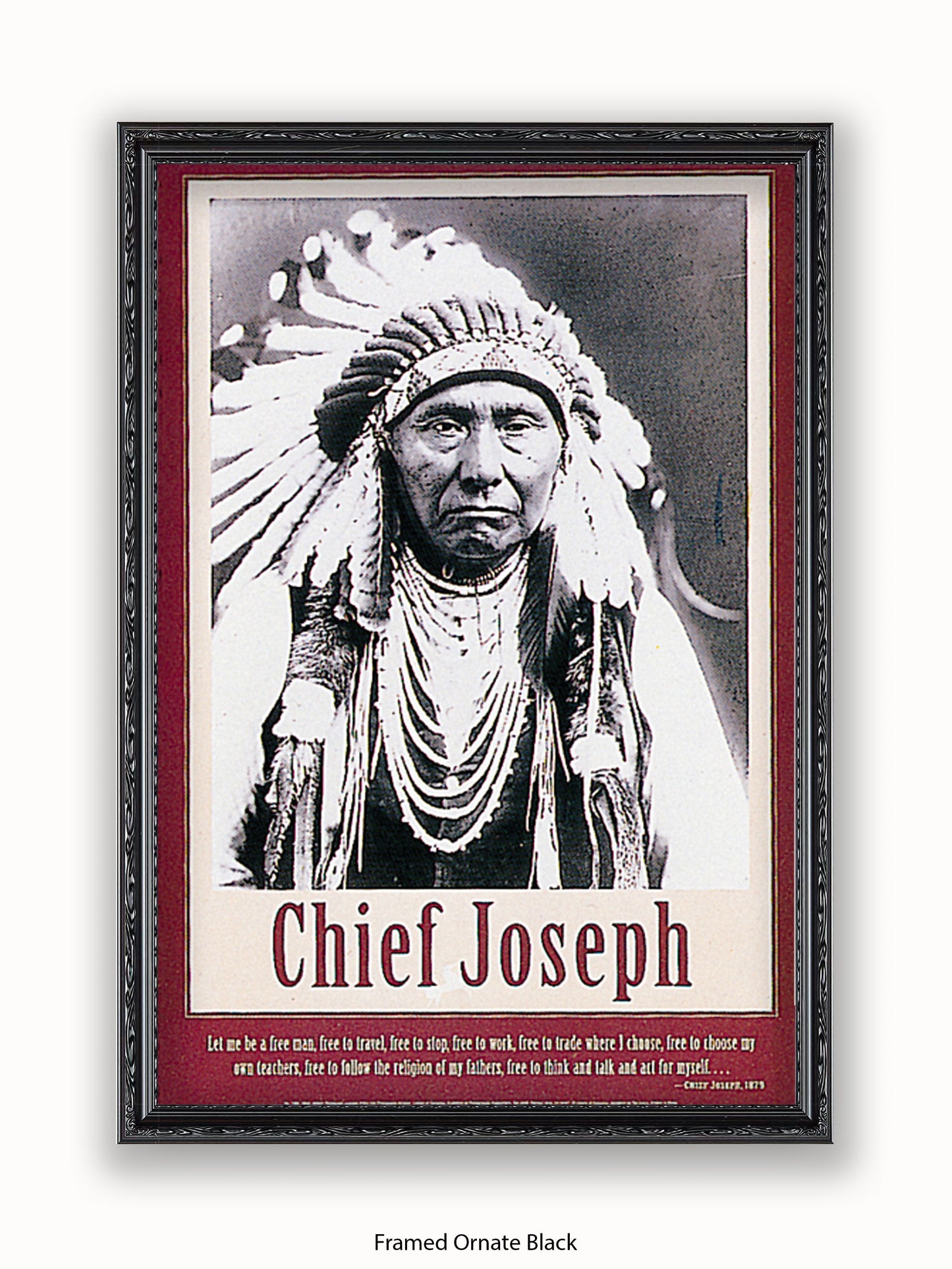 Native American Indian Chief Joseph 1879 Poster