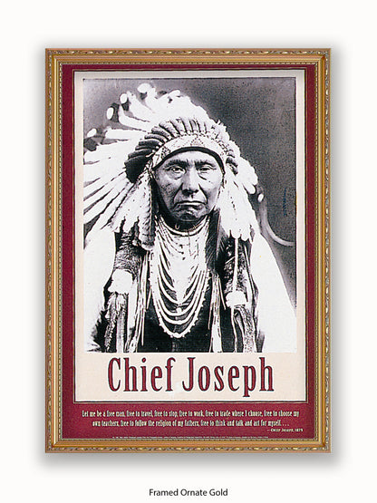 Native American Indian Chief Joseph 1879 Poster