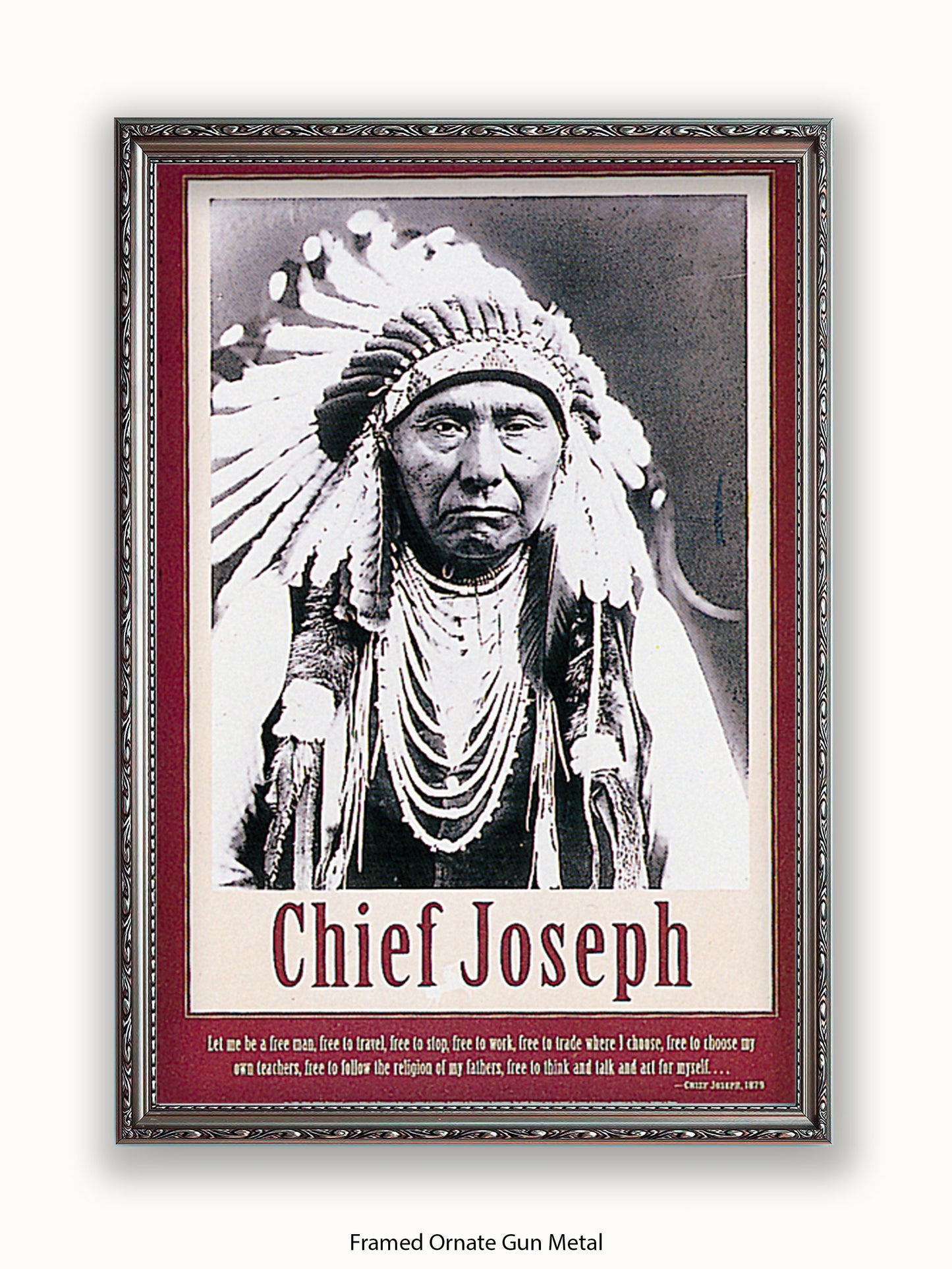 Native American Indian Chief Joseph 1879 Poster