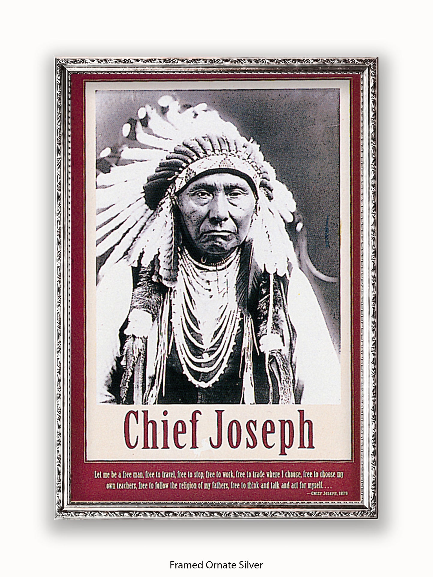 Native American Indian Chief Joseph 1879 Poster