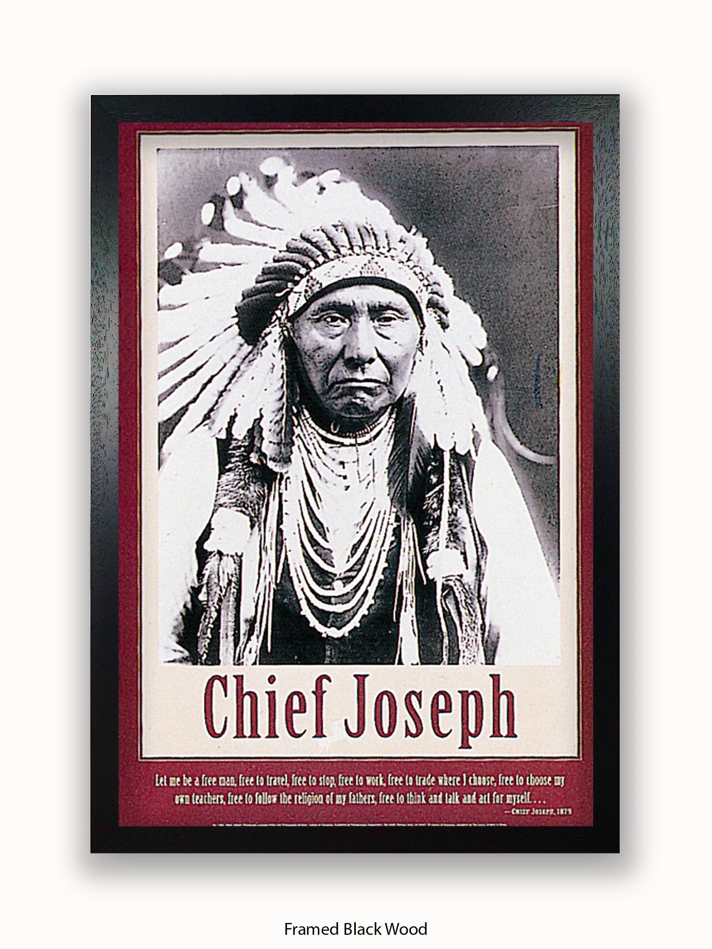 Native American Indian Chief Joseph 1879 Poster