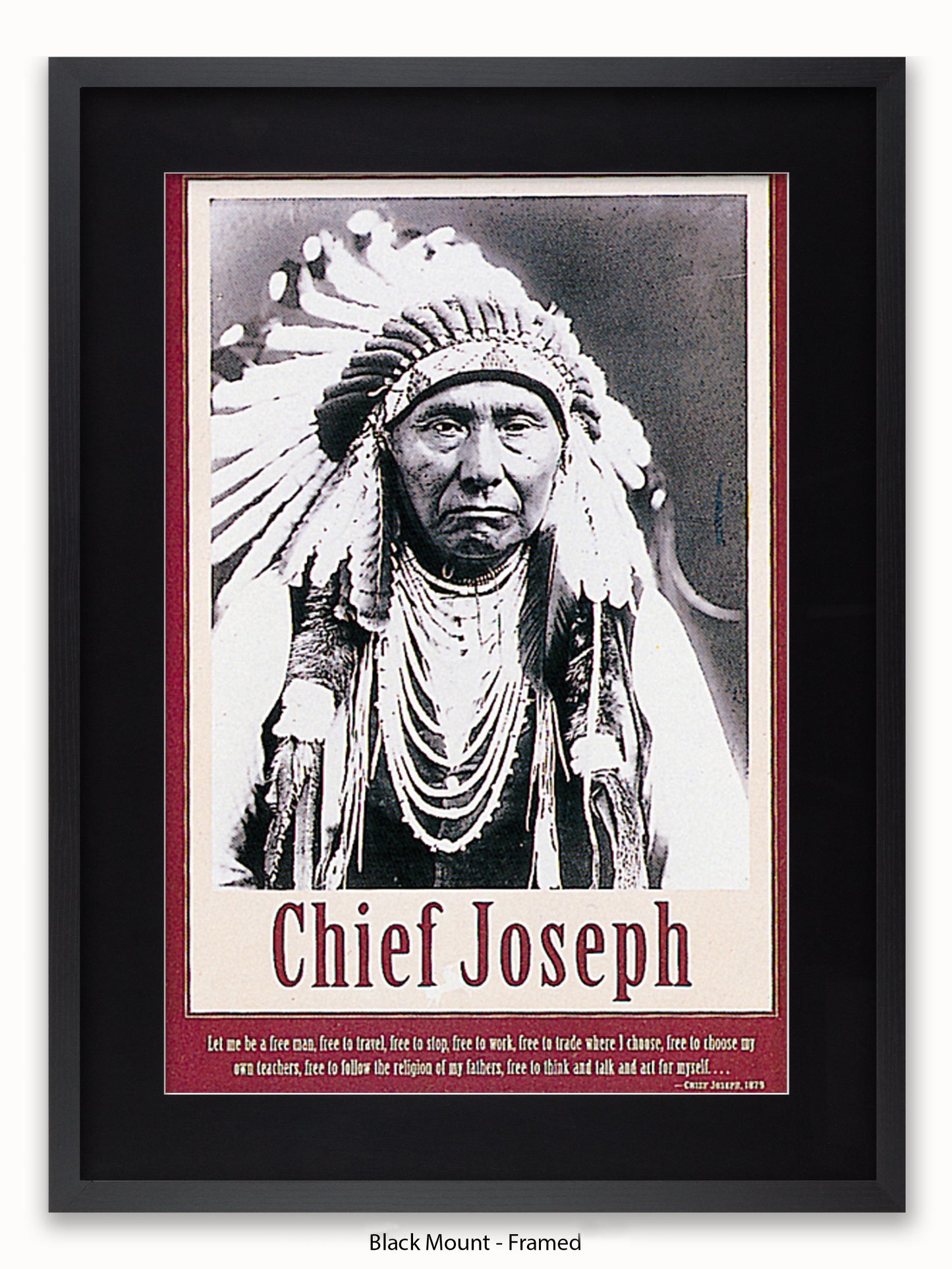 Native American Indian Chief Joseph 1879 Poster