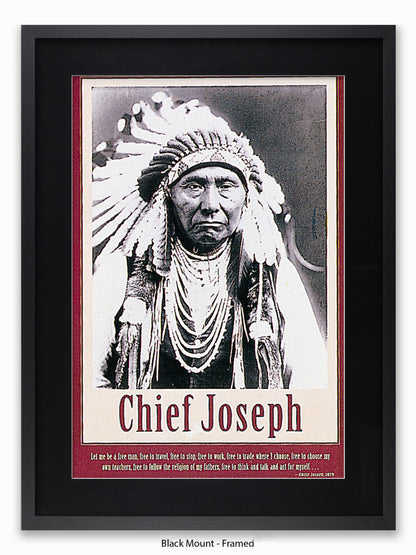 Native American Indian Chief Joseph 1879 Poster