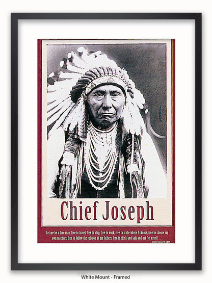 Native American Indian Chief Joseph 1879 Poster