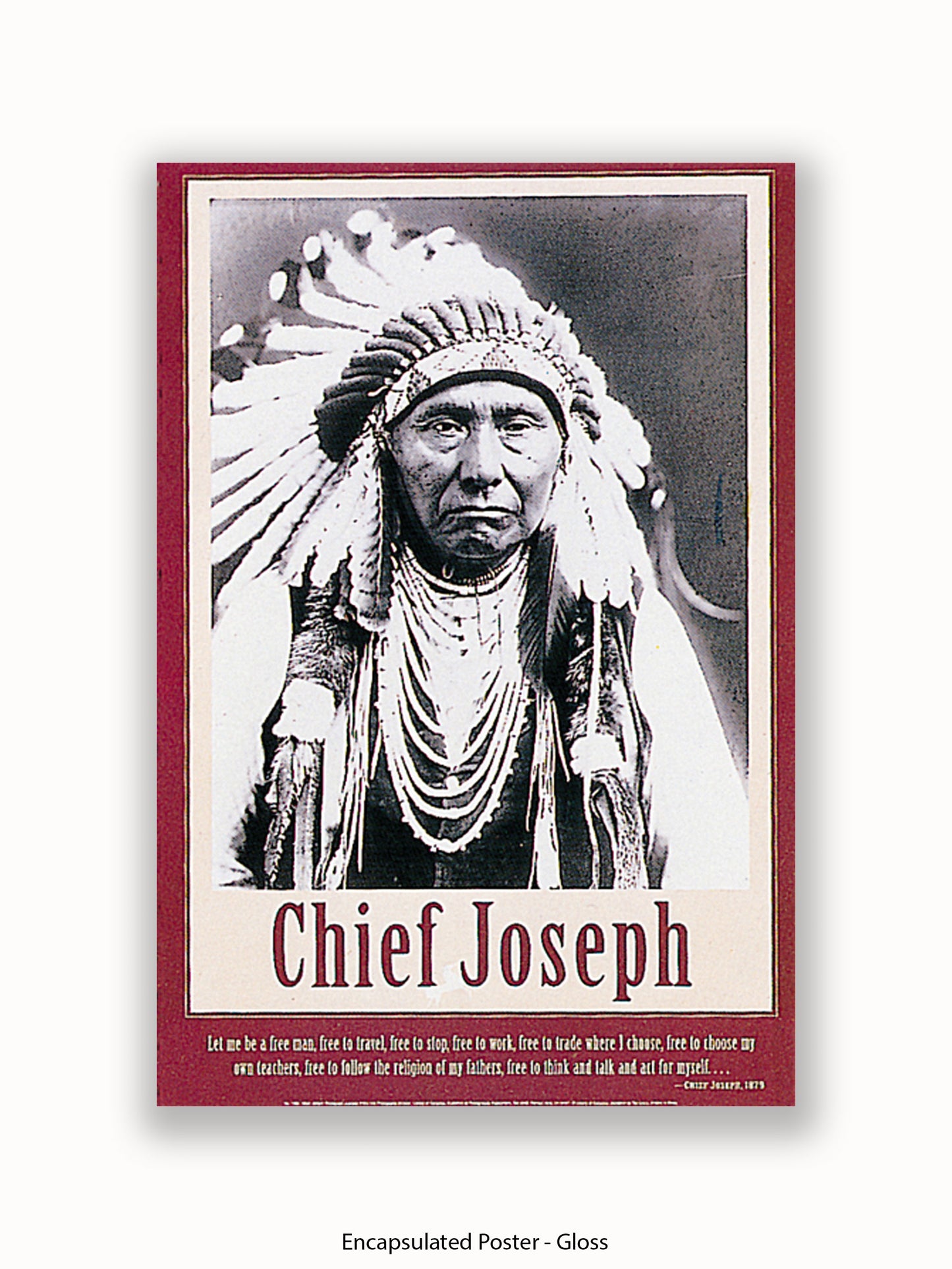 Native American Indian Chief Joseph 1879 Poster