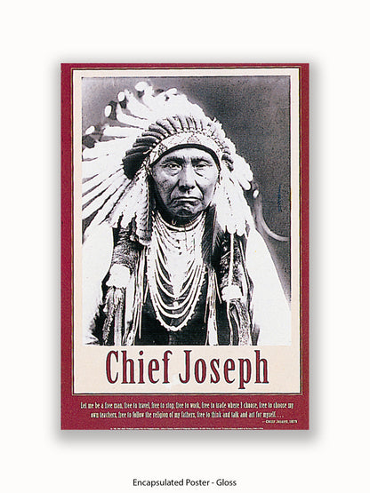 Native American Indian Chief Joseph 1879 Poster