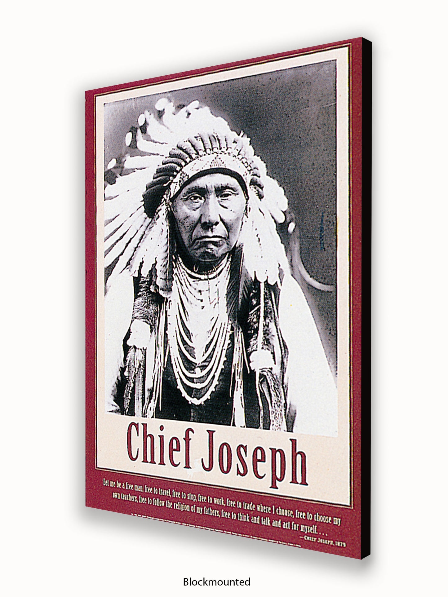 Native American Indian Chief Joseph 1879 Poster