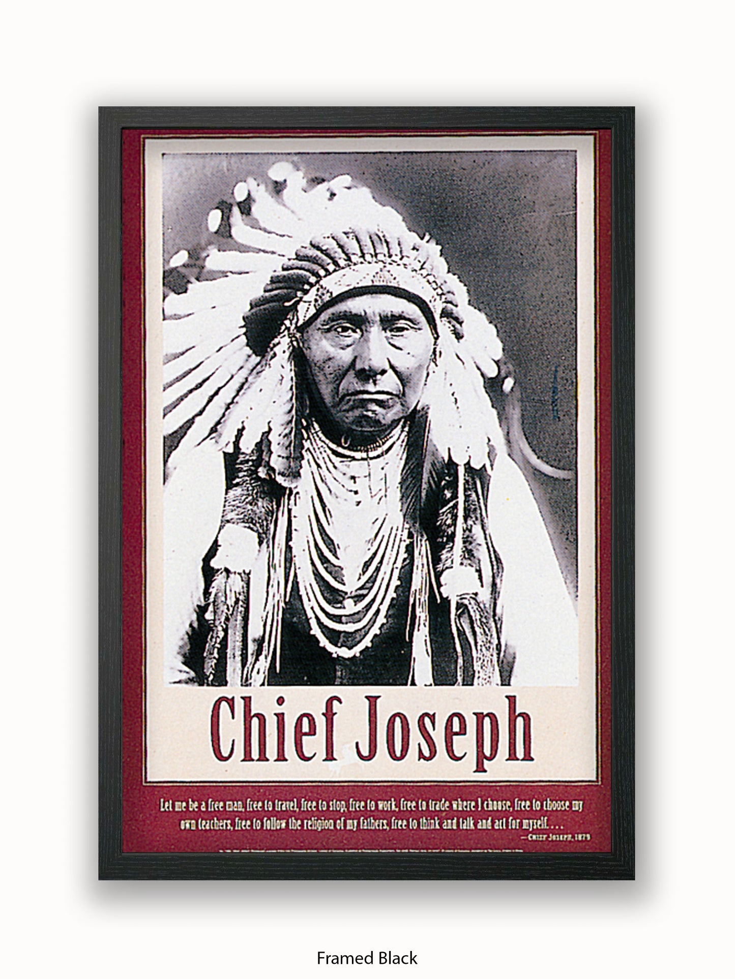 Native American Indian Chief Joseph 1879 Poster