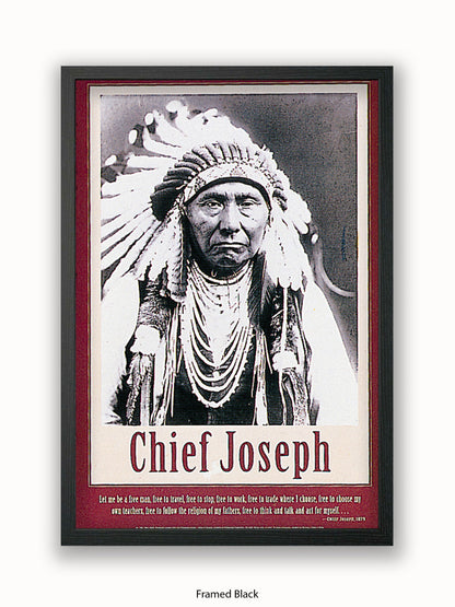 Native American Indian Chief Joseph 1879 Poster
