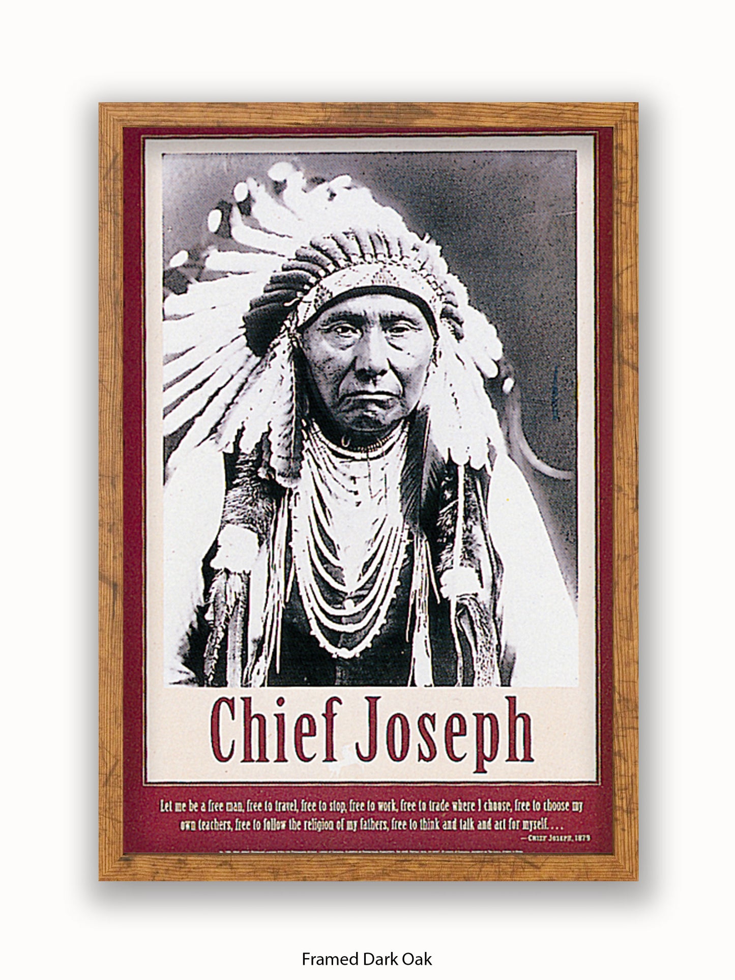 Native American Indian Chief Joseph 1879 Poster