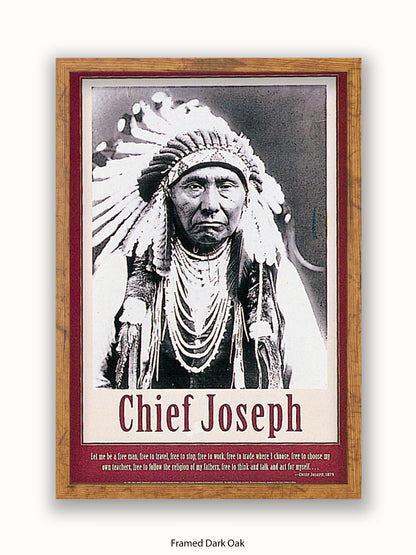 Native American Indian Chief Joseph 1879 Poster