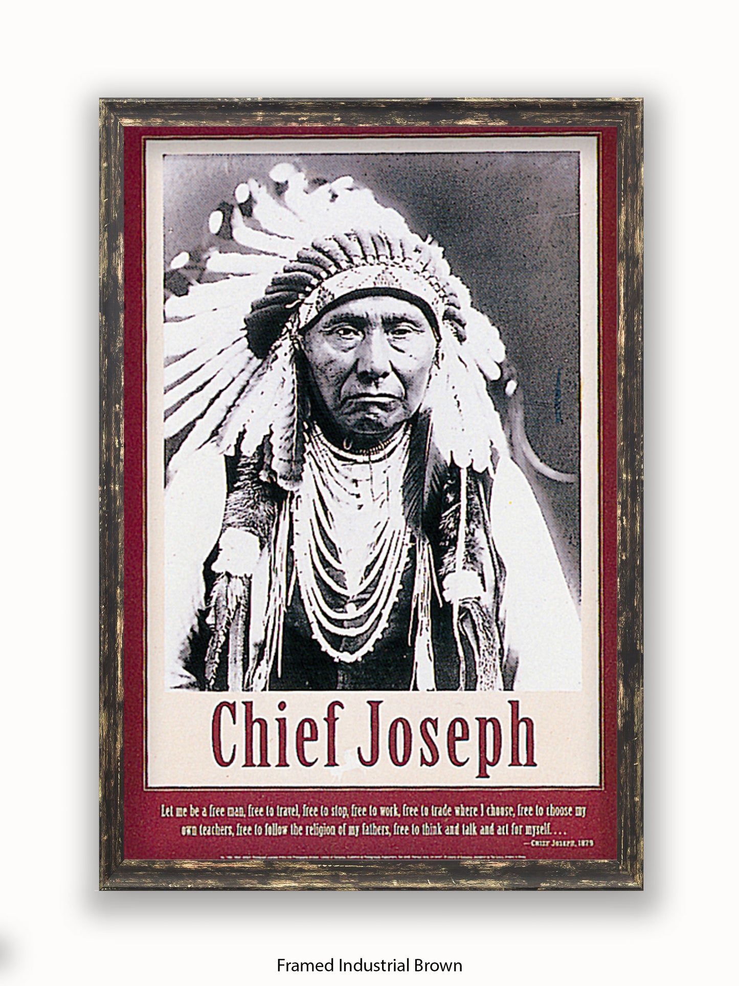 Native American Indian Chief Joseph 1879 Poster