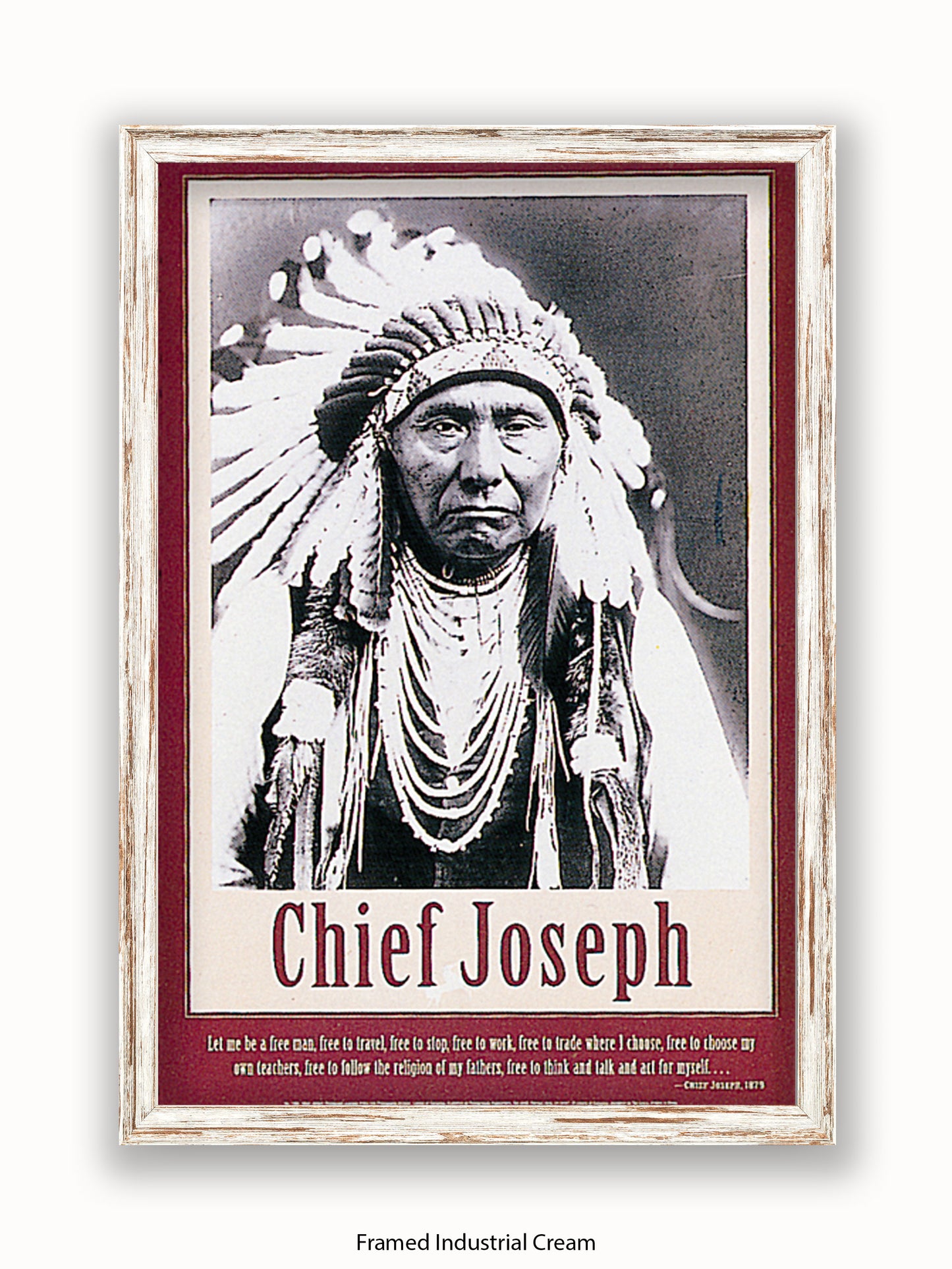 Native American Indian Chief Joseph 1879 Poster