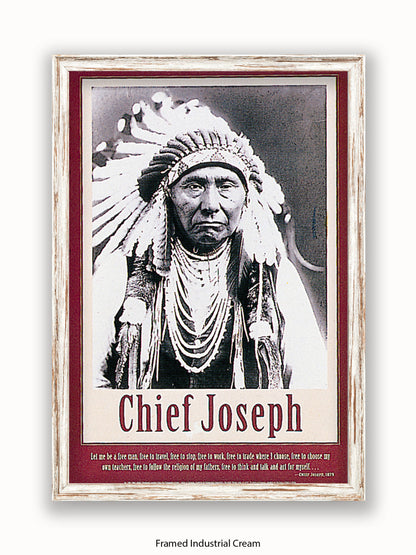 Native American Indian Chief Joseph 1879 Poster