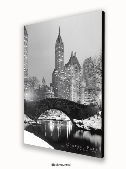 New York  Central Park  1961 poster