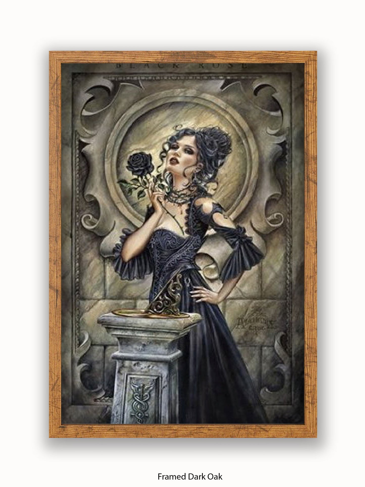 Alchemy  Black Rose Girl Poster