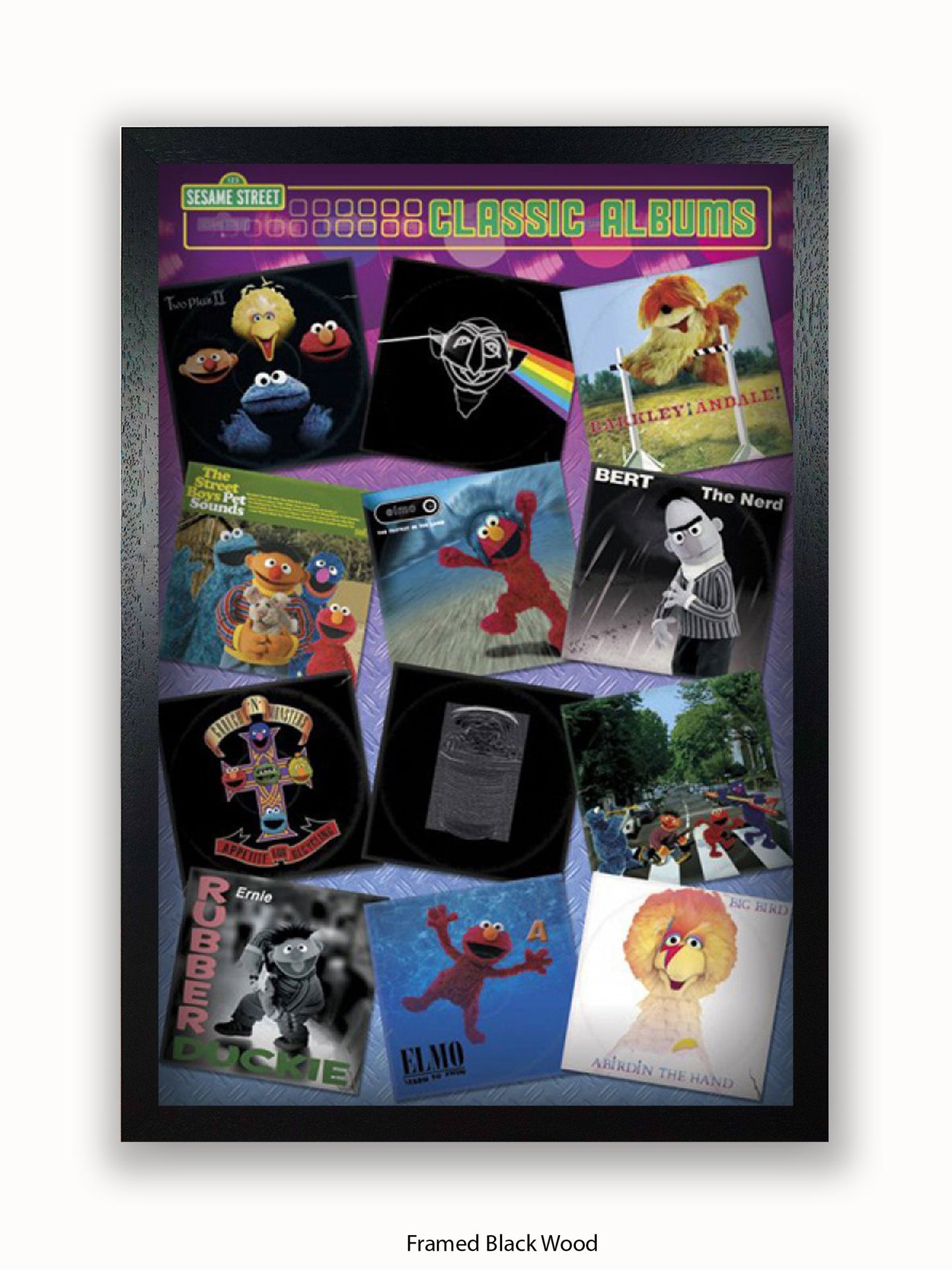 Sesame Steet  Album Covers Poster