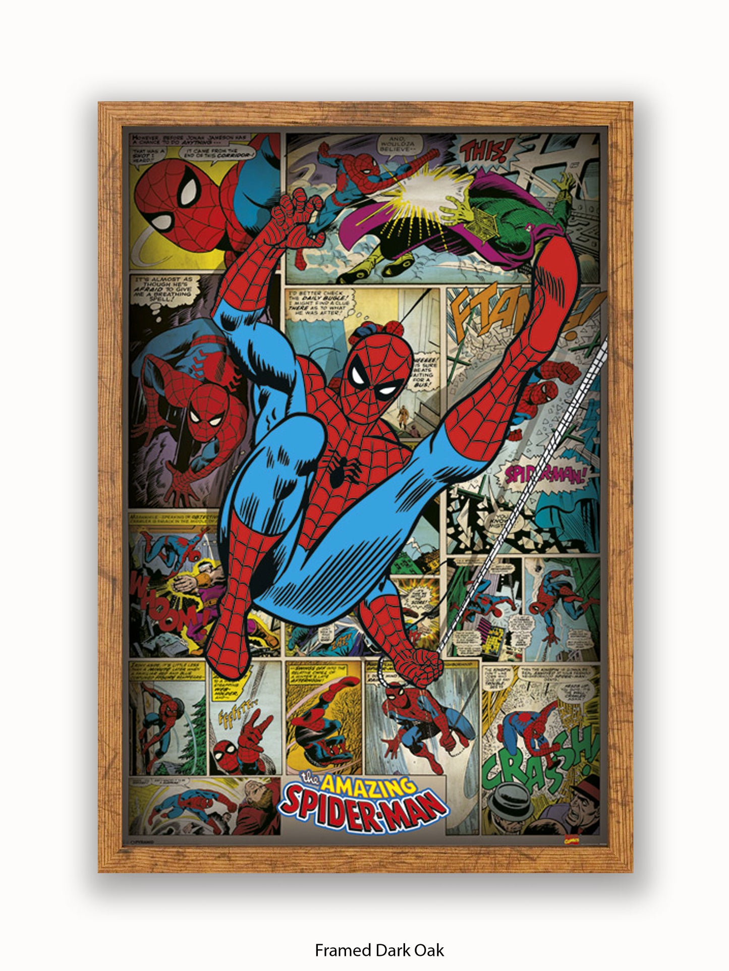 Spiderman  Comic Strip  The Amazing Spiderman Poster
